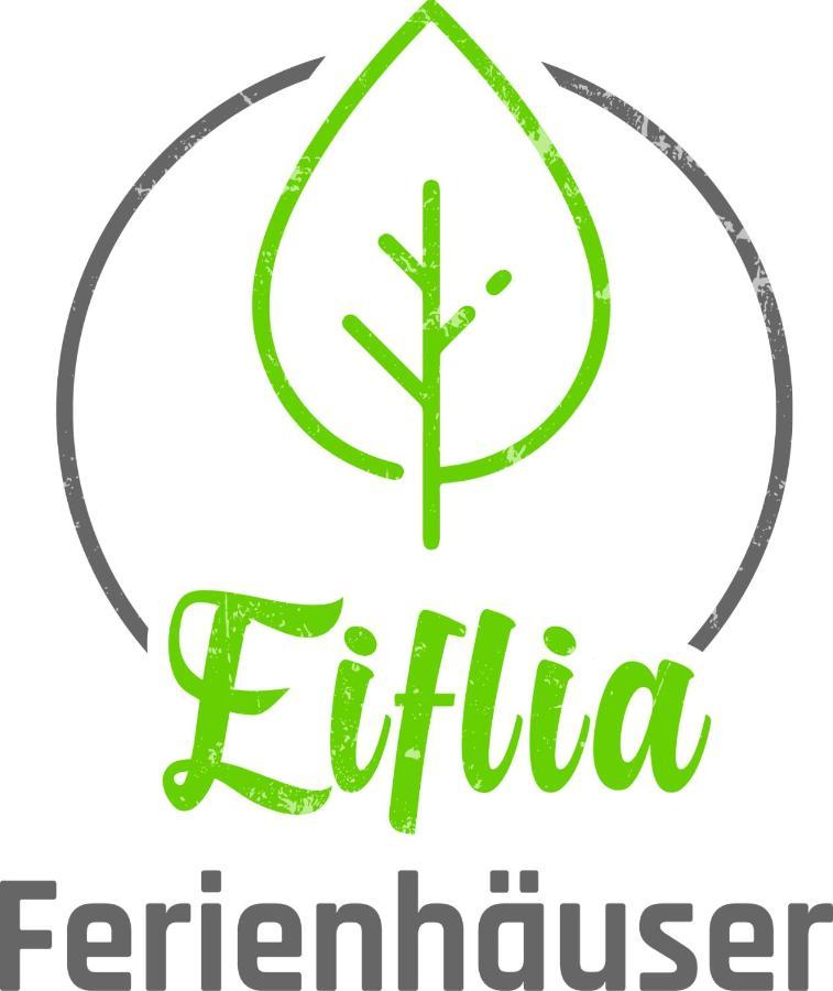 Villa Eiflia- Im Warchetal à Bullange Extérieur photo